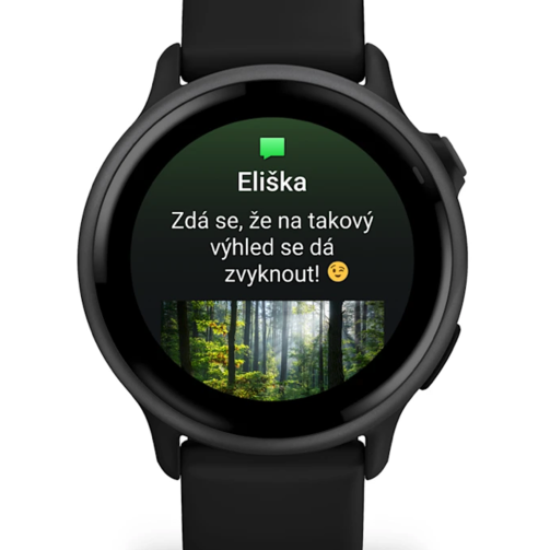 garmin-vivoactive-6-slate-black-band-g1-1743514026